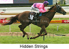 Hidden Strings (17207 bytes)