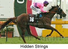 Hidden Strings (17207 bytes)