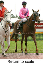 Return to scale (15324 bytes)