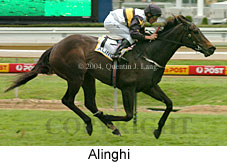 Alinghi (15397 bytes)