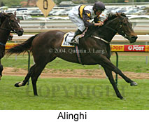 Alinghi (15363 bytes)