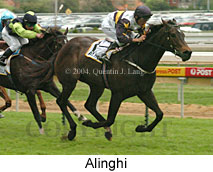 Alinghi (15845 bytes)