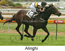 Alinghi (14937 bytes)