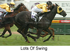 Lots Of Swing (14927 bytes)