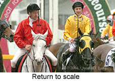 Return to scale (18115 bytes)