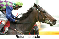 Graduated (12111 bytes)