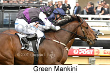 Green Mankini (16519 bytes)