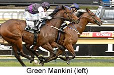 Green Mankini (16519 bytes)