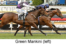 Green Mankini (16519 bytes)