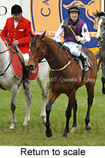 Return to scale (17972 bytes)