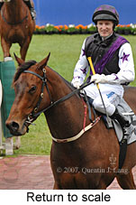 Return to scale (17972 bytes)