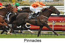 Pinnacles (16519 bytes)