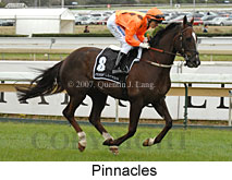 Pinnacles (16519 bytes)