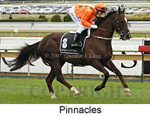 Pinnacles (16519 bytes)