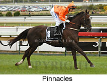 Pinnacles (16519 bytes)