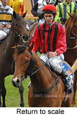 Return to scale (17972 bytes)