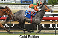 Gold Edition (16519 bytes)