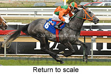 Gold Edition (16519 bytes)