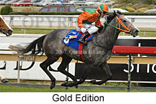 Gold Edition (16519 bytes)