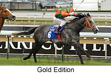 Gold Edition (16519 bytes)