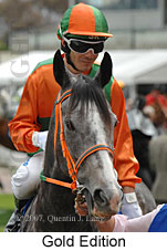 Gold Edition (16519 bytes)