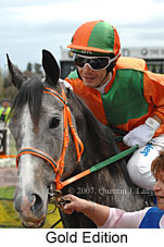 Gold Edition (16519 bytes)