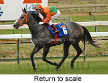 Return to scale (17972 bytes)