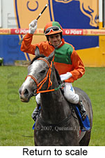 Return to scale (17972 bytes)