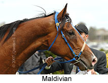 Maldivian (16519 bytes)