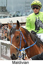 Maldivian (16519 bytes)