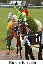 Return to scale (17972 bytes)