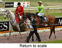 Return to scale (17972 bytes)