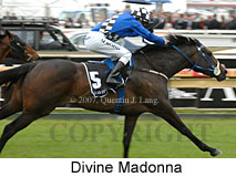 Divine Madonna (16519 bytes)