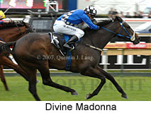 Divine Madonna (16519 bytes)