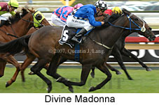 Divine Madonna (15182 bytes)