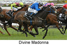 Divine Madonna (16519 bytes)