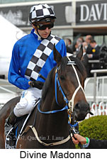 Divine Madonna (16519 bytes)