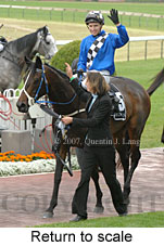 Return to scale (17972 bytes)