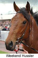 Weekend Hussler (16519 bytes)