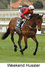 Weekend Hussler (16519 bytes)