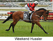 Weekend Hussler (16519 bytes)