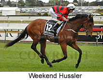 Weekend Hussler (16519 bytes)