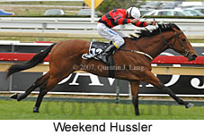 Weekend Hussler (16519 bytes)
