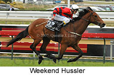 Weekend Hussler (16519 bytes)