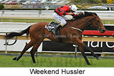Weekend Hussler (16519 bytes)
