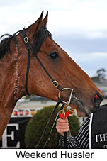 Weekend Hussler (16519 bytes)