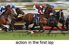 action (15500 bytes)