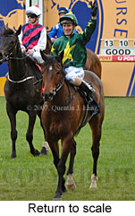 Return to scale (17972 bytes)