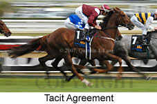 Tacit Agreement (15500 bytes)