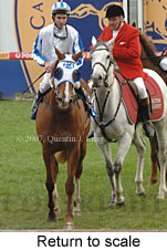 Return to scale (17972 bytes)